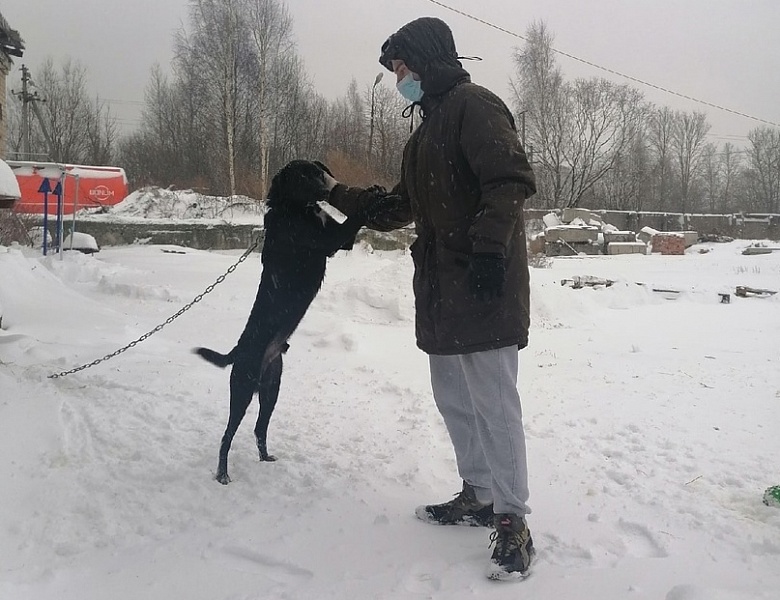Помощь в любое время
