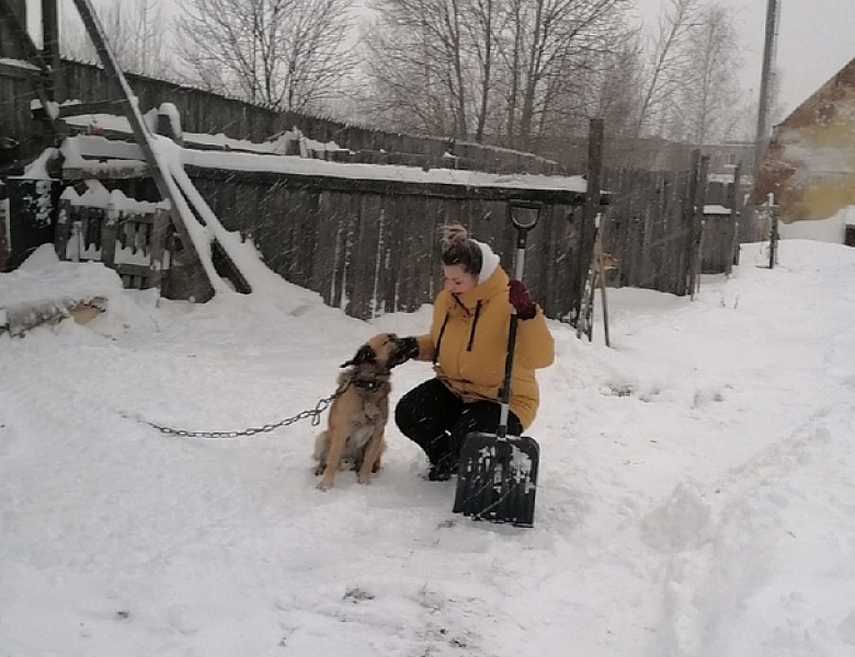 Помощь в любое время