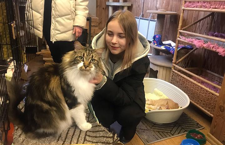 Здесь есть, кому помочь