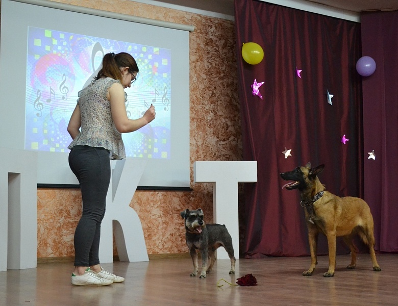 Фестиваль зажёг новые звёзды!