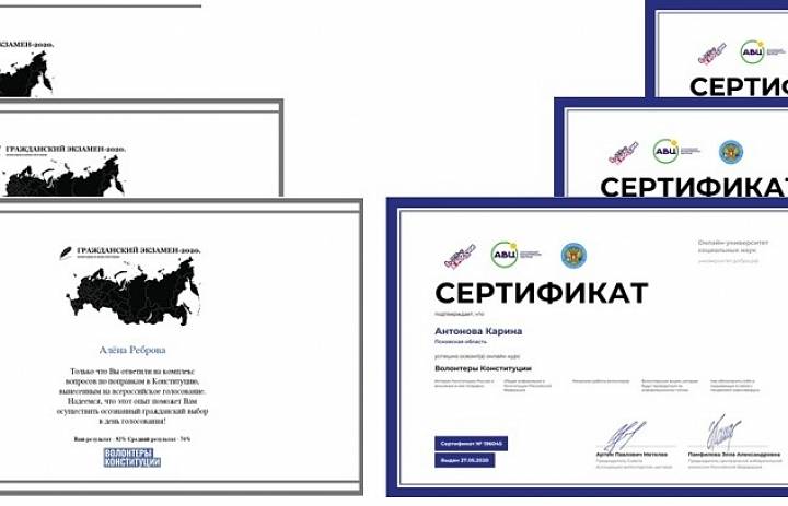 Волонтёры Конституции