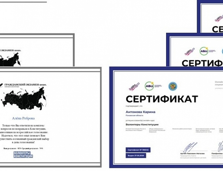 Волонтёры Конституции