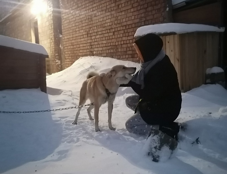 Помощь в любое время