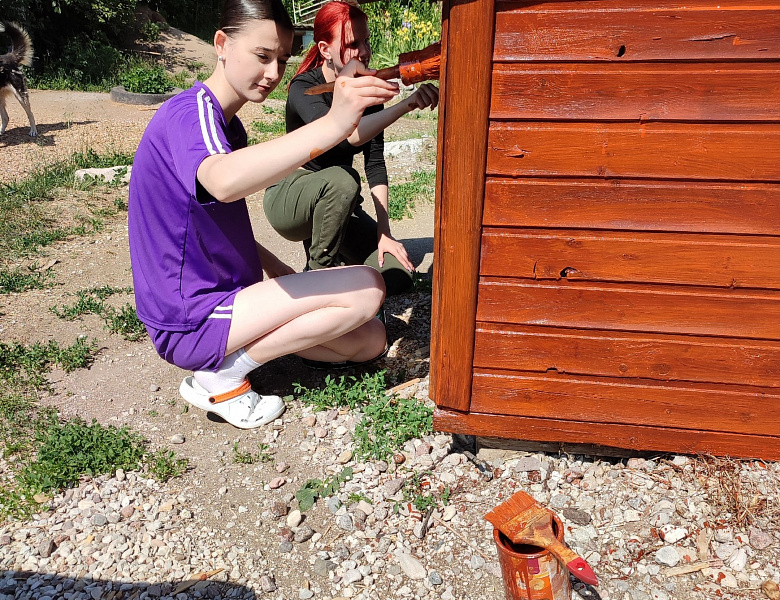 Своевременная помощь