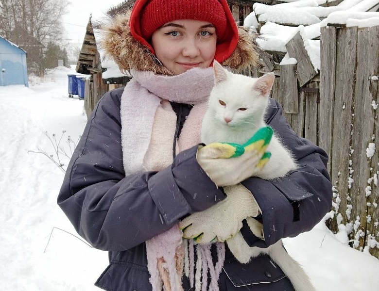 Снежный десант