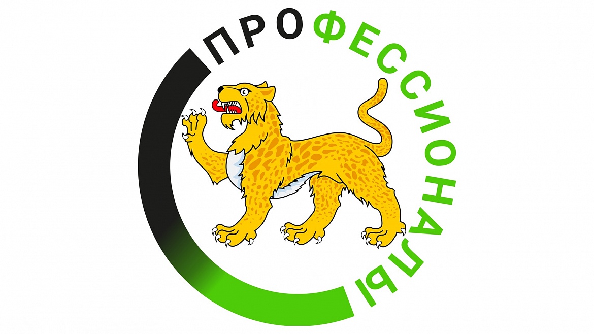 "Профессионалы"