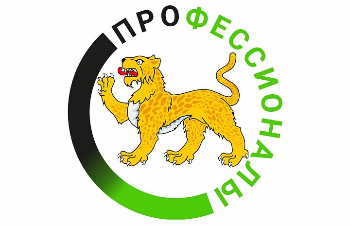 "Профессионалы"